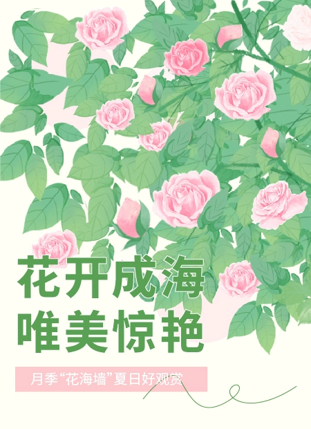 花开成海 唯美惊艳